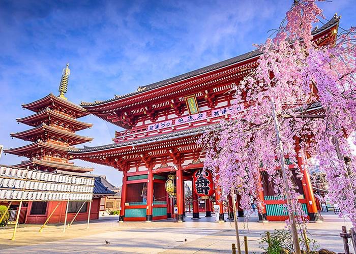 TOUR 6N5Đ NHẬT BẢN: TOKYO - NÚI PHÚ SĨ - NAGOYA - KYOTO - OSAKA